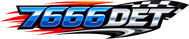 7666 det